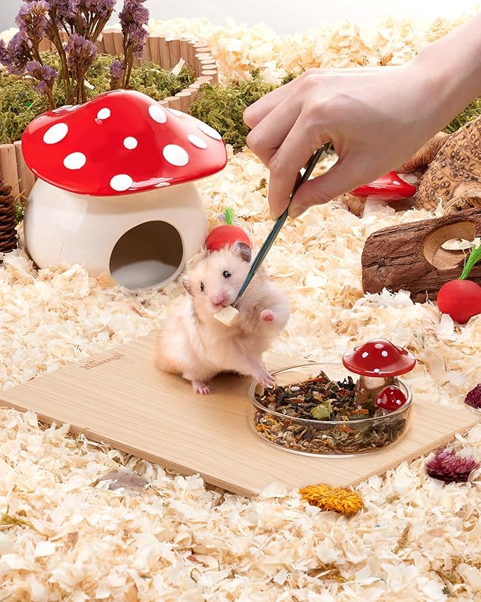 Niteangel Hamster Feeding & Water Bowls- Mushroom Ceramics Series Food Dish Feeding Bowls for Dwarf Syrian Hamsters Gerbils Mice Rats or Other Similar-Sized Small Pets (Feeding Bowl, Glass)