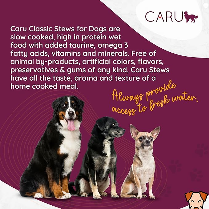 Caru - Classics Pork Stew - For Dogs - Supports Overall Pet Health - Wet Dog Food/Meal Topper - Human Grade Ingredients - Grain, Corn & Soy Free - Non-GMO - Made in USA - 12 oz - Case of 12
