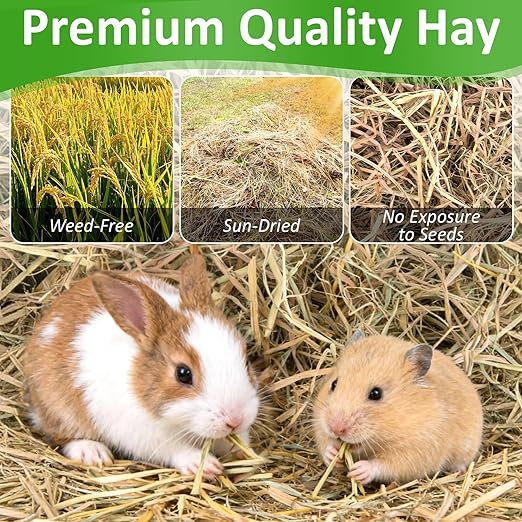 MAQIHAN Natural Straw for Small Animals Bedding- 5.92oz Dry Straw,Garden Straw,Animal Hay Bedding Nest Chaw Toy Bed,Sleeping,Chewing,Nesting and Toys for Rabbits,Bed Mat