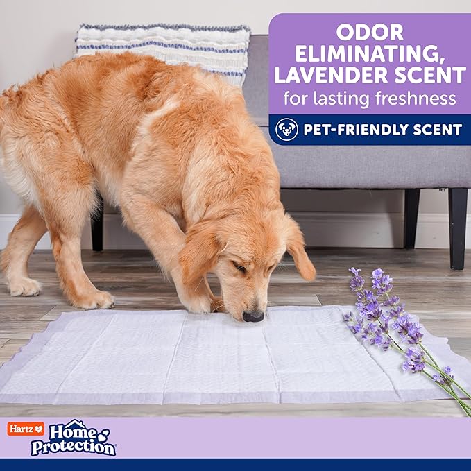Hartz Home Protection Super Absorbent Odor Eliminating Lavender Scented No Leak Dog Pads,XL 30 Count (Pack of 2)