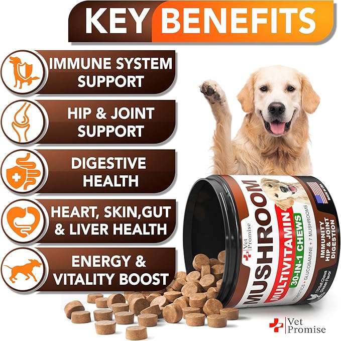 (2 Pack) Turkey Tail Mushroom for Dogs - 340 Chews - Mushroom Supplement for Dogs - Lions Mane - Reishi - Immunity Support Multivitamin Vitamins - Joint Health - Energy - Gut - Skin - Made in USA