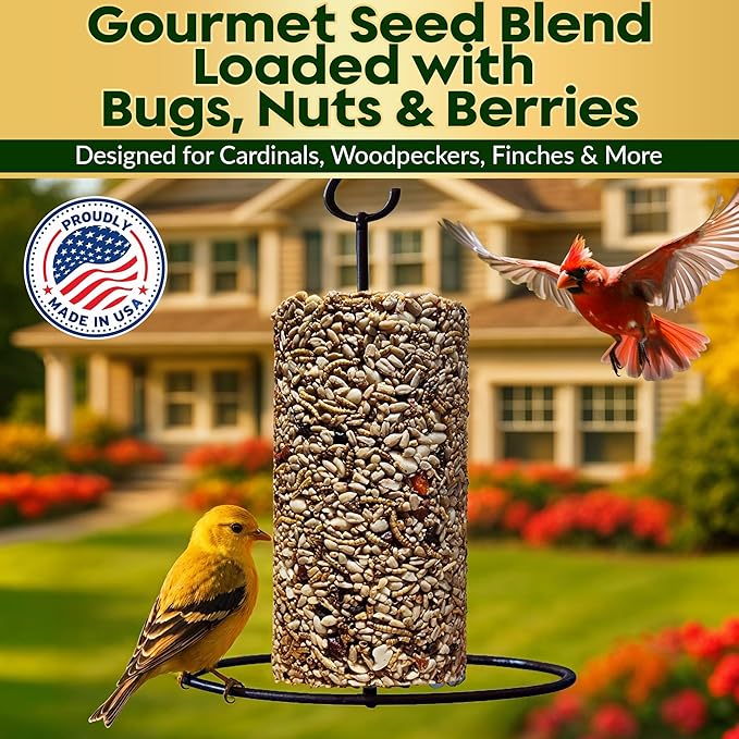 Bugs, Nuts & Berries Bird Seed Cylinders with Hole – Wild Bird Food for Blue Birds, Woodpeckers, Cardinals & More – Premium Protein-Rich Blend, No Fillers – USA Made (4" x 7.75") 2 Pack