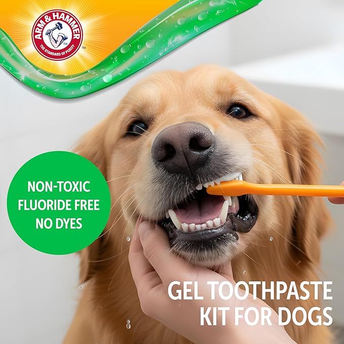 Arm & Hammer Complete Care Dental Gel Dog Toothbrush Kit, Includes Gel Toothpaste, Toothbrush, and Finger Brush, Baking Soda Enhanced, Fluoride Free, Chicken Flavor, 2.5 Oz