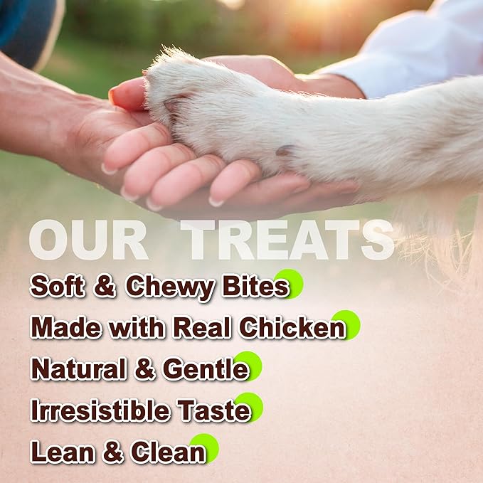 A Freschi srl Soft Dental Dog Treats, Natural High-Protein, Healthy & Easily Digestible, Grain-Free Puppy Chews, Human Grade Training & Rewards Dog Snacks, Dental Chews, 24 oz Pack