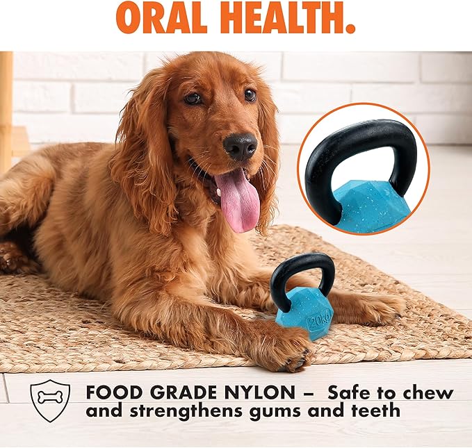 Max Fusion Made with Nike Grind, Arlee Kettlebell Treat Dispensing Dog Toy, Durable Yellow Dog Treat Toy, Treat Dispenser Toys, Natural Rubber Chew Toy, Extra Large, 1 Count