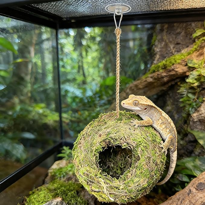 Reptile Hide Bearded Dragon Tank Accessories Natural Moss Leopard Crested Gecko Tank Accessories Handmade Humid Reptile Snake Hide for Ball Python Tortoise Frog