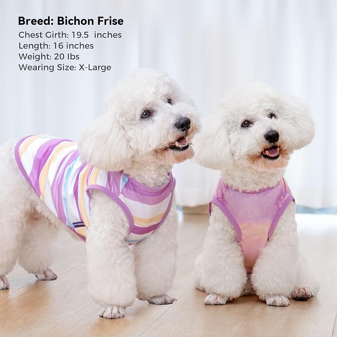 cyeollo 2pack Dog Shirt Cooling Breathable Sleeveless Summer Clothes for Dogs, Intant Cool T Shirts for Small Dogs, Purple L