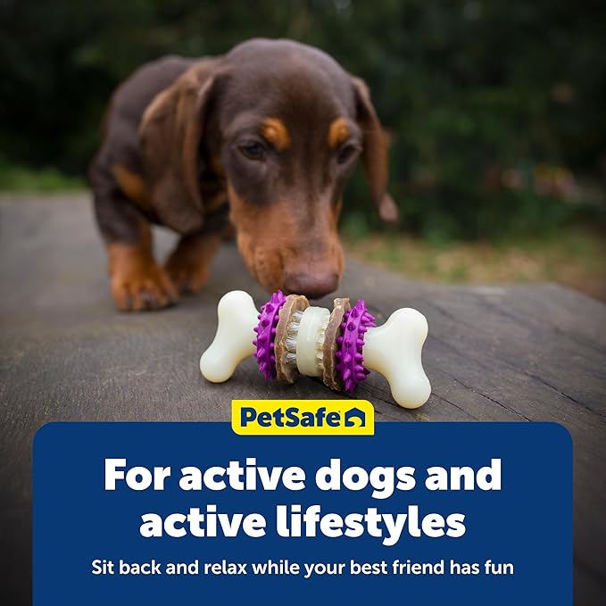 PetSafe Busy Buddy Bristle Bone Dog Chew Toy - Treat Holding Toothbrush Toy for Hard Chewers - Helps Keep Your Dog's Teeth Clean - Durable, Interactive - Purple, Extra Small