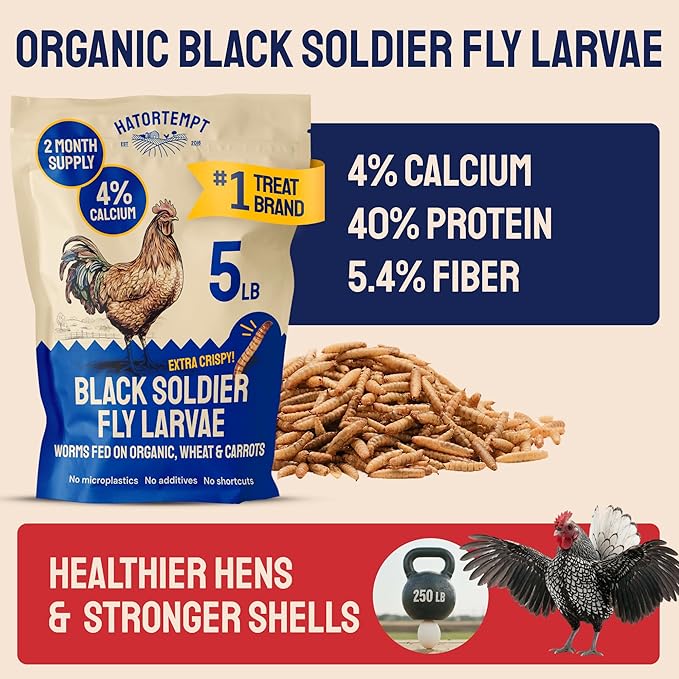 Hatortempt 5lbs Organic Black Soldier Fly Larvae for Chickens - 114X More Calcium Than Mealworms for Chickens - High Protein Worms - Feed Treats for Laying Hens, Quails and Ducks