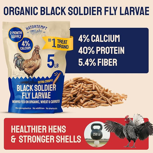 Hatortempt 5lbs Organic Black Soldier Fly Larvae for Chickens - 114X More Calcium Than Mealworms for Chickens - High Protein Worms - Feed Treats for Laying Hens, Quails and Ducks