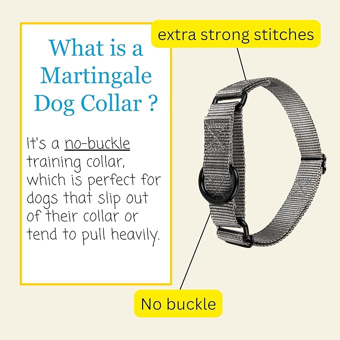 Country Brook Petz - Martingale Dog Collar - Heavy-Duty Training Collar with No Buckle - Service Dog Collar for All Pups - 20 Vibrant Colors (Charcoal, 5/8 Inch, Extra Small)