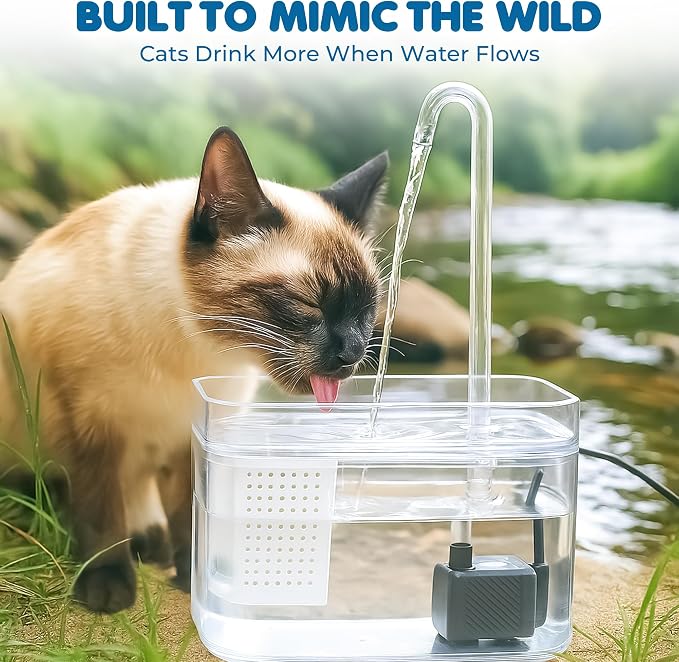 SunGrow Automatic Flowing Hydration with Filter, Silent USB Pump Cat Water Fountain, Transparent Feeder Bowl for Indoor Felines, Ferrets, and Small Animals (6" x 5" x 5")