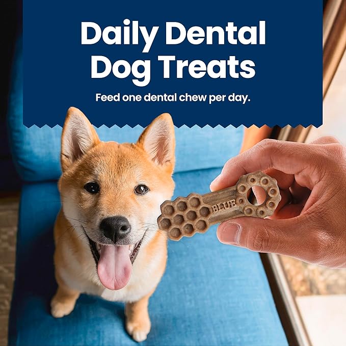 Blue Buffalo Medium Dental Chews Bundle, Natural Dog Treats Enhanced with Vitamins, Minerals, and Other Nutrients, Two 23 oz. Bags