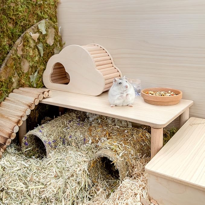 Niteangel Hamster Play Wooden Platform for Dwarf Syrian Hamsters Gerbils Mice Degus or Other Small Pets (Rectange - 7'' Height, Burlywood)