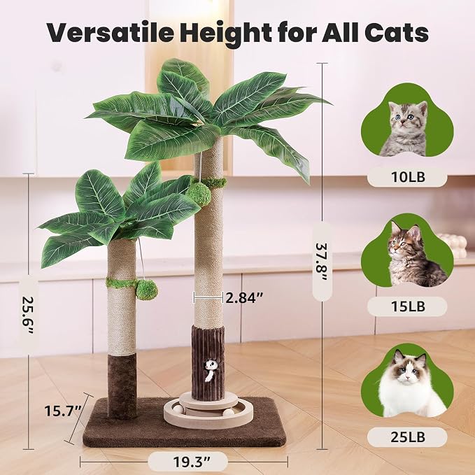 WOOCHPET Palm Tree Cat Scratching Post with Interactive Toys, Dual-Height Sisal Scratcher for Kittens, Adult & Large Indoor Cats