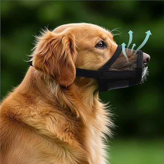 Evollax Extra Large Dog Muzzle - Air Mesh XL Dog Muzzle to Stop Biting, Barking and Chewing