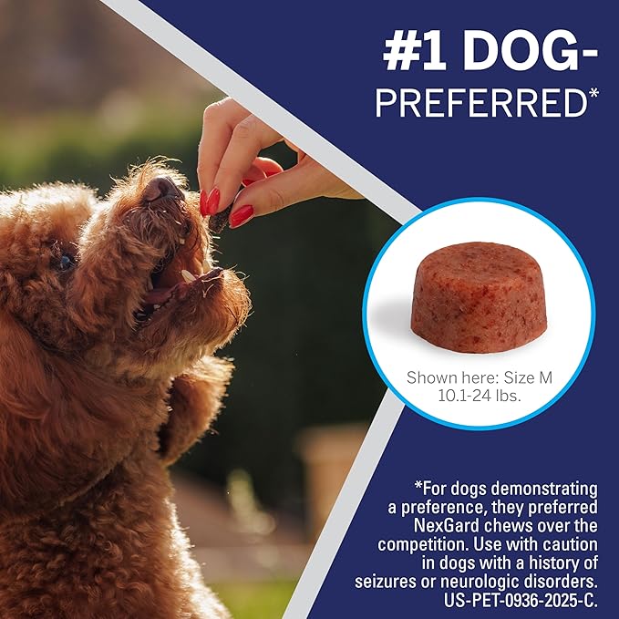 NexGard® (afoxolaner) Flea and Tick Protection for Dogs Oral Soft Beef Flavored Chewables, 24.1 to 60 lbs. (Purple Box) 1 Chew (1 Month Supply)