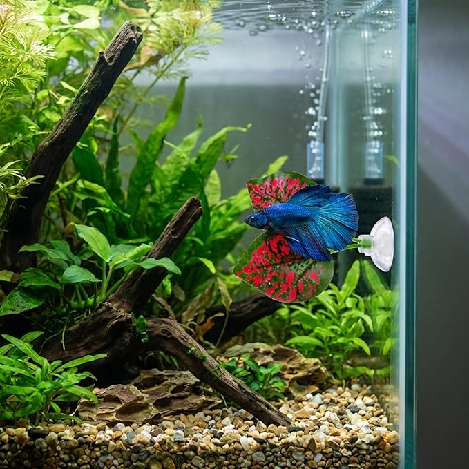 5pcs Fish Feeding Ring, Betta Feeding Ring and Hammock, Feeding Ring for Fish Tank and Aquarium, Assorted Blue Circular and Square Rings with Grass and Tunnel Accessories for Fish Feeding and Resting