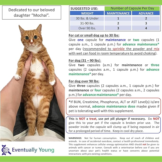 𝗘𝘃𝗲𝗻𝘁𝘂𝗮𝗹𝗹𝘆 𝗬𝗼𝘂𝗻𝗴 Cat Kidney Support for Dog & Cat with NMN & Fisetin - Super Phosphate Binder Kidney and Liver Supplement for Feline, Canine Healthy Aging & Longevity NAD+ (60 Caps)