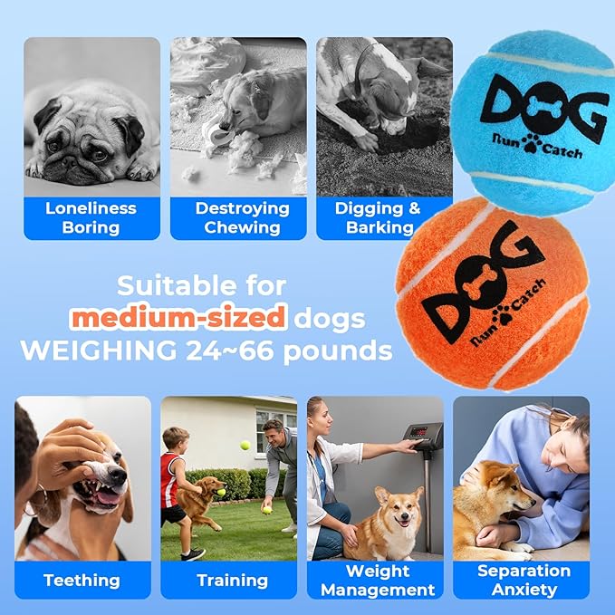 INSUM Squeaky Dog Balls - Squeaky Tennis Balls for Dogs, Orange | Medium - 2.5'', 20Pack