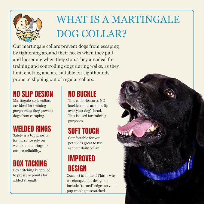 Country Brook Petz - Martingale Dog Collar - Heavy-Duty Training Collar with No Buckle - Service Dog Collar for All Pups - 20 Vibrant Colors (Silver, 3/8 Inch, 2XS)