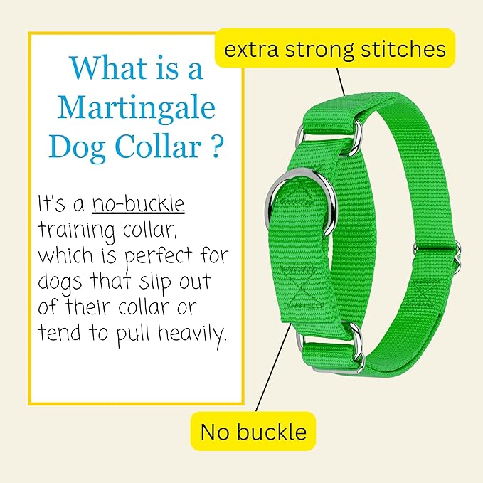 Country Brook Petz - Martingale Dog Collar - Heavy-Duty Training Collar with No Buckle - Service Dog Collar for All Pups - 20 Vibrant Colors (Hot Lime Green, 1 Inch, Medium)