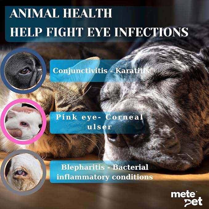 Vetromycin Pet Eye Ointment for Dogs and Cats 1/8 oz /5gr, 1 Tube - Gentle Daily Eye Care, Easy Topical Application