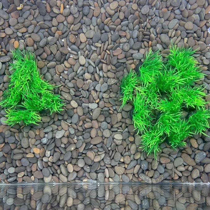 Aquarium Plant Fish Tank Decoration 20 Pieces Small/1" Tall Plastic Artificial Plant Goldfish Hidden Mini Grass Set (Green-C)