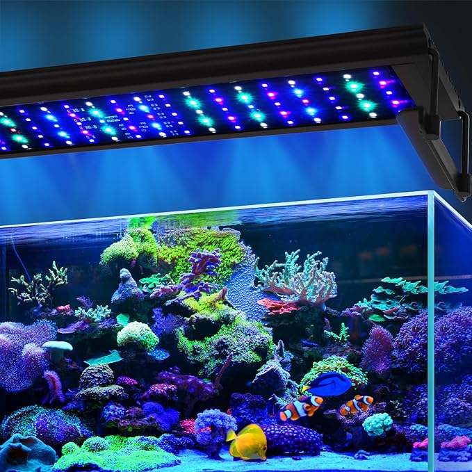 48W LED Saltwater Aquarium Light, Marine Led Reef Light for Corals with White, Blue, Cyan, UV Violet LEDs Dimmer Timer for SPS/LPS/Mixed/FOT Corals and 24-35 Inch Saltwater Fish Tanks