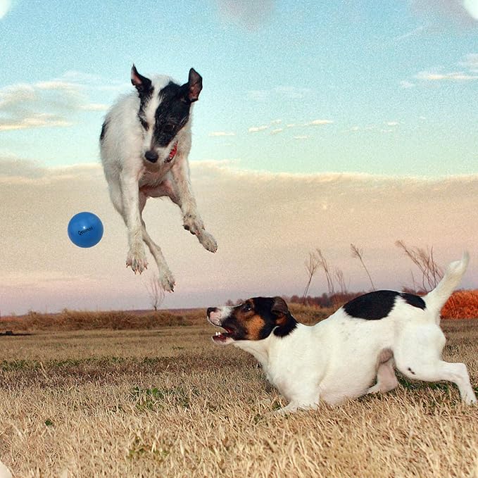 Dog Balls Indestructible,Solid Rubber Bouncy for Dogs Aggressive Chewers Large Breed,Non-Toxic&Floating&High Elasticity,Durable Fetch Ball Medium to Chew,Play and Training