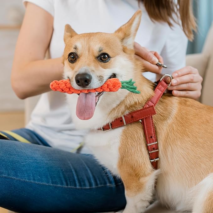 Vaulted Skulls & Co Carrot Dog Toy Small 5" | Carrot Shaped Dog Toy | Teething for Dogs | 5 Inches