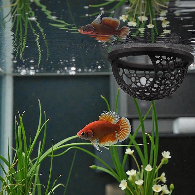 Floating Betta Fish Skins, Betta or Shrimp Feeder, Cave and Hammock, Small Fish Feeding Rings, Aquarium Hiding Feeding Decorative Accessories (Black)