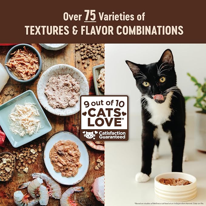 Wellness CORE Pate Kitten Canned Wet Cat Food, Natural, Protein Rich, Grain Free, Turkey and Chicken Liver Recipe, 5.5 oz, Pack of 12 Cans