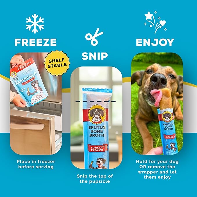 Brutus Brothcicles Frozen Dog Treats - Turkey Flavor Dog Popsicle Snack, Hydrating Frozen Enrichment Treat with Superfoods,12 Fl Oz Pack of 1 (2 oz per Stick)