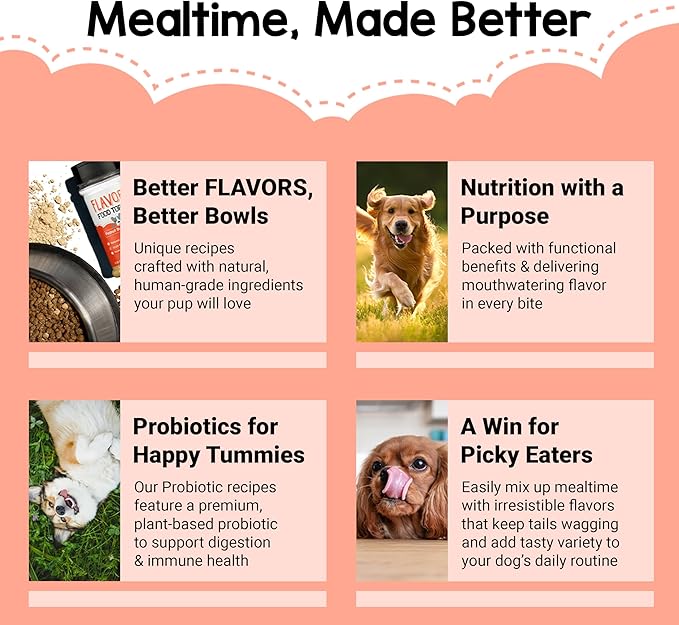 BEAUMONT BASICS Flavors Food Topper and Gravy for Dogs - Peanut Butter Recipe, 6.0 oz. - Human Grade, Grain Free - Perfect Kibble Seasoning and Treat Mix for Picky Dog or Puppy
