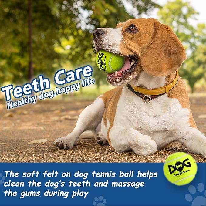INSUM Squeaky Tennis Balls for Dogs, 6 Pack 2.5" Squeaky Dog Balls for Medium Large Breed, SGS Certified Non-Toxic, Interactive Fetch Toys, Perfect for Outdoor & Indoor Play