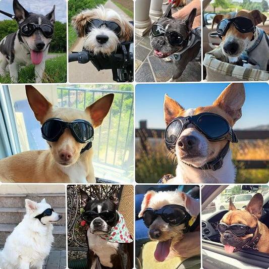 Dog Goggles Medium Breed, Dog Sunglasses for Medium Dogs Eye Protection Windproof, Black