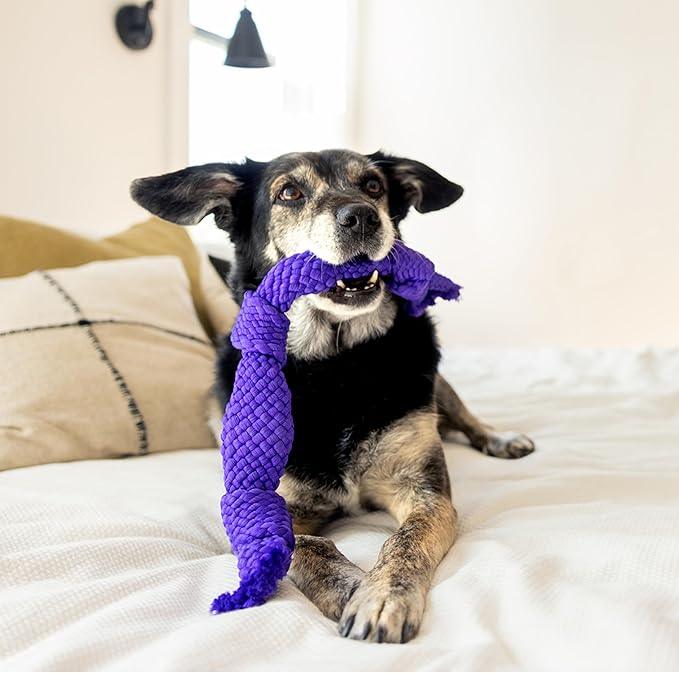 Playology Dog Toys | Dri-Tech Dental Rope Toy for Large Senior Dogs, Gentle on Teeth | Pork Sausage Scented Jumbo Toy | Dog Rope for Tug of War