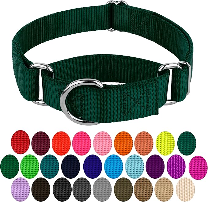 Country Brook Petz - Martingale Dog Collar - Heavy-Duty Training Collar with No Buckle - Service Dog Collar for All Pups - 20 Vibrant Colors (Green, 5/8 Inch, Extra Small)