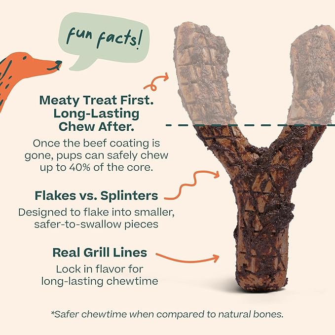 WOOF HonestChew Meaty Dog Toy Y-Gnawt - Durable Dog Chews - Made with Real Beef and Natural, Plant-Based Ingredients - Splinter-Resistant - Safer Than Dog Bones - Medium