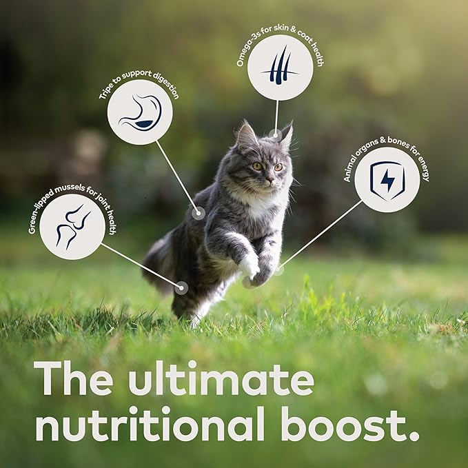 ZIWI Peak Wet Cat Food Variety Pack - Beef, Chicken, Lamb, Venison, (3oz Cans - Pack of 12)