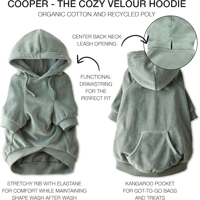 Pet Passion Cooper II Organic Cotton Velour Dog Hoodie Pet Coat for Small, Medium and Large Dogs, Sage, Small (10-25 lbs)