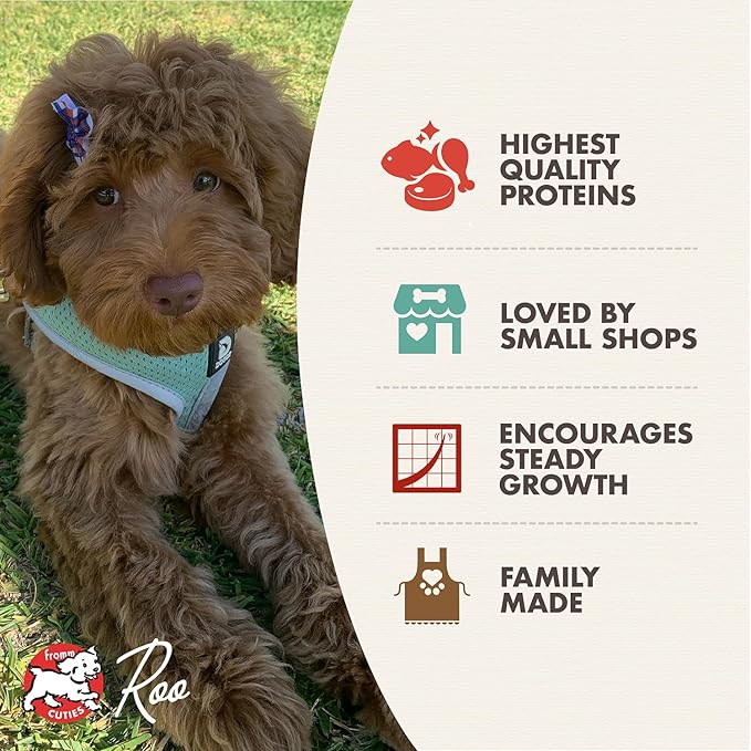 Fromm Heartland Gold Large Breed Puppy Dry Dog Food - Dry Puppy Food for Large & Giant Breeds - Beef Recipe - 4 lb
