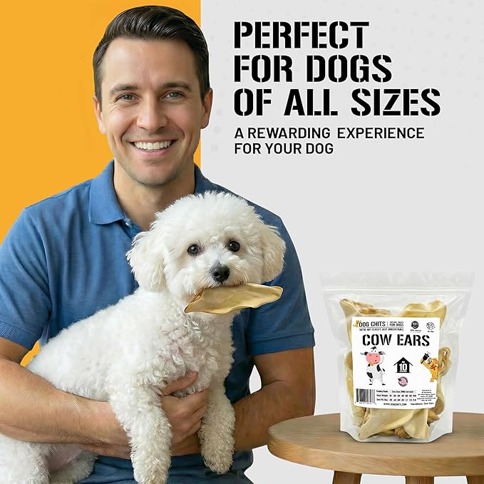 Dog Chits Cow Ears for Dogs – All Natural Cow Ear Dog Treats & Training Chews – High Protein, Low Fat – Thick Cut, Full-Sized – Dental Clean Crunch – Ideal for Medium & Large Dogs – Large, 10 Pk