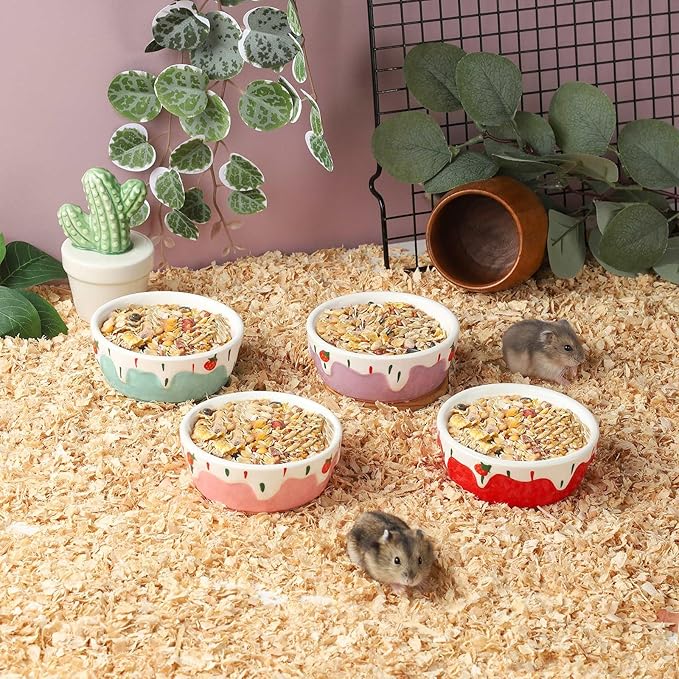 VanEnjoy 2 Pack Hamster Food Bowl Small Ceramic Water Food Bowl for Cage Small Animal Bowls for Hamster Guinea Pig Chinchilla Rabbit - Red and Pink