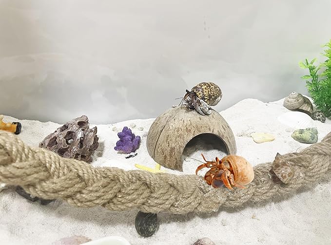 2PCS Hermit Crab Accessories，25.9inx1.58in Reptile Climbing Rope，Natural Coconut Reptile Hideouts，Ermit Crab, Hamster, Chameleon, Tree Frog, Lizard, Gecko Habitat Aquarium Decoration