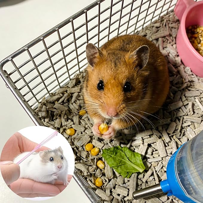 5Pcs Hamster Combs Gentle Guinea Pig Rabbit Small Animal Groomer Mini Comb Bulk for Pet Grooming and Shedding Management