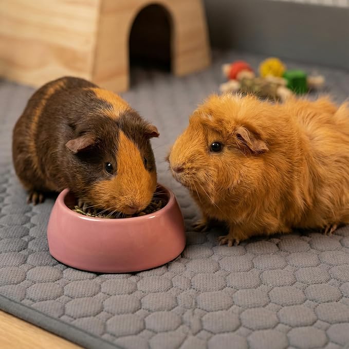 Guinea Pig Fleece Cage Liner, 24X36in 2Pack Guinea Pig Bedding for C&C 2X3 Cage , Super Absorbent & Odor Control & Washable & Reusable Guinea Pig Liner, Pee Pad Mat for Small Animal, Rabbit, Bunny