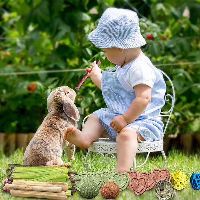 72Pcs Bunny Chew Toys with Applewood Hanging Strings, BunnyTreats for Rabbits Bunny Toys for Teeth, Papaya Stem, Timothy Stick, Apple Sticks, Sweet Bamboo, for Guinea Pig, Hamster, Chinchilla, Rat