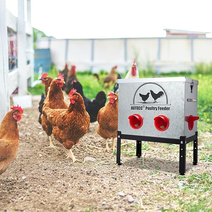 Metal Chicken Feeder, 40lb Automatic Chicken Feeder - 6 Feeding Ports, No Waste Poultry Feeder with Lid & Adjustable Legs for Chicken Coops, Weatherproof